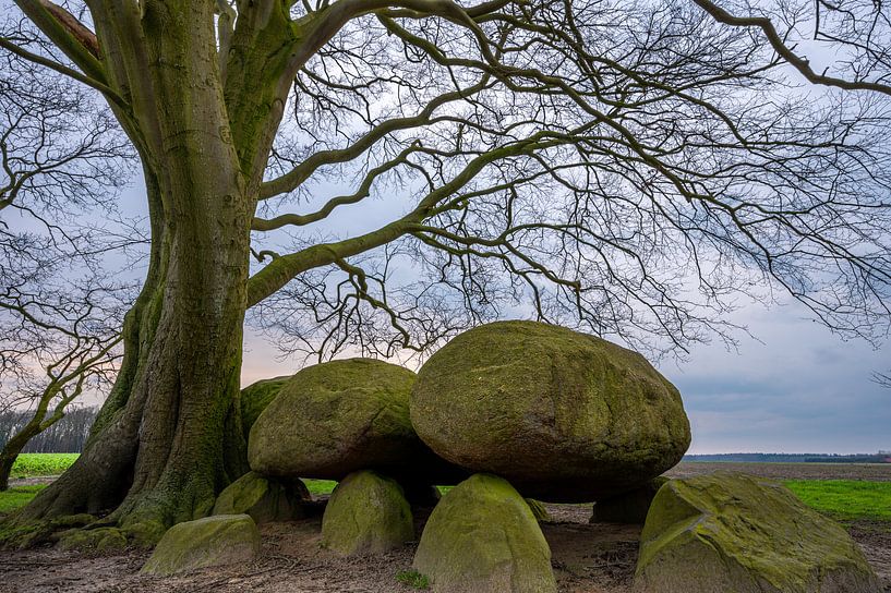 Hunebed D21 een monument in het landschap van Gerry van Roosmalen