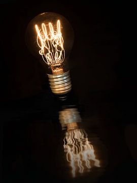 reflective bulb