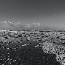 Strand Noordwijk Schwarz-Weiß von Franklin