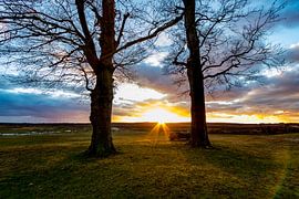 Sonnenuntergang von Frank Bison
