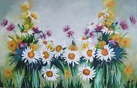 Beautiful daisy - Leucanthemum by Gulserin Gokcan thumbnail
