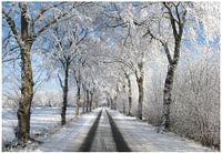 Winterallee
