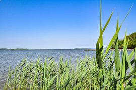 Naturstrand, Lagune in Lietzow, Großer Jasmunder Bodden, Rügen von GH Foto & Artdesign