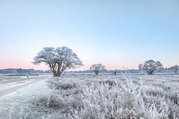 Fietser in winters landschap | Noord-Holland van Marika Huisman⎪reis- en natuurfotograaf