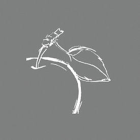 Wild Apple Profilfoto