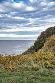 Klippe am Kattegat in Dänemark. Meer und Wolken von Martin Köbsch