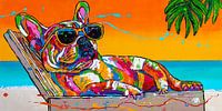 Bulldog on the beach