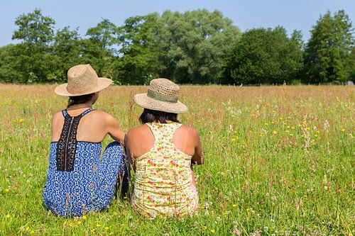 Two young women with hat are sitting together in meadow with wild flowers
