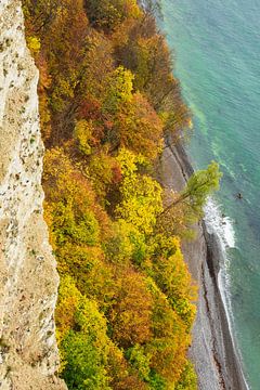Cliff on shore of the Baltic Sea van Rico Ködder
