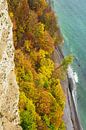 Die Ostseeküste auf der Insel Rügen im Herbst von Rico Ködder Miniaturansicht