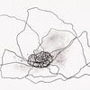 POPPY IN BLACK AND WHITE van AnkieArt