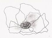 POPPY IN BLACK AND WHITE van AnkieArt thumbnail