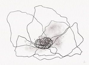 POPPY IN BLACK AND WHITE