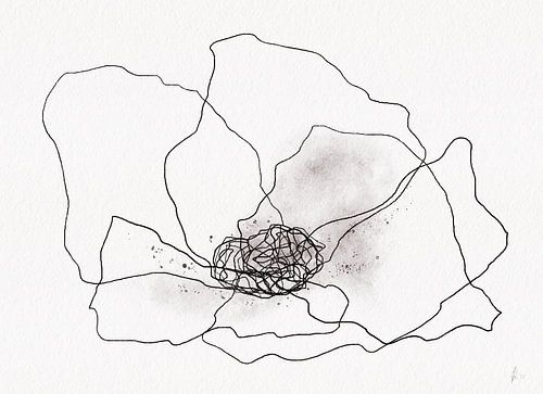 POPPY IN BLACK AND WHITE