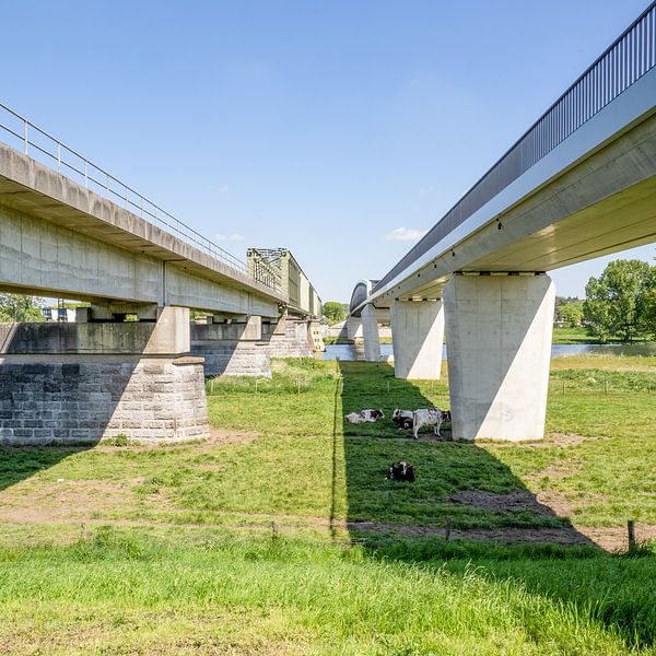 Pont ferroviaire et cycliste reliant Cuijk (Katwijk) - Mook avec des vaches au repos 2 par Marijke Veltmaat