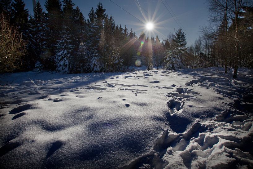 Winter Sonnenuntergang in Deutschland von Eus Driessen