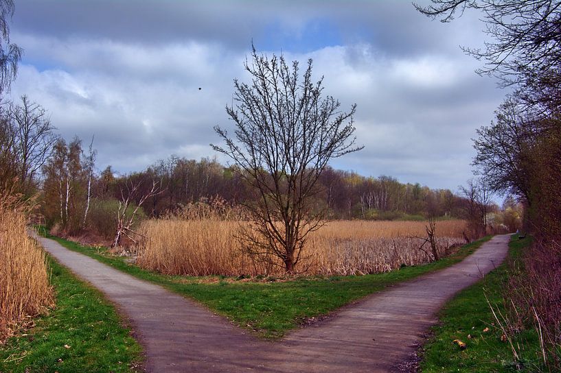 Crossroads van Edgar Schermaul