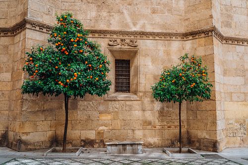 Möchte jemand Orange?