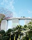 Views over Marina Bay Sands in Singapore by Amber Francis thumbnail