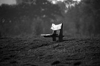 Banc solitaire