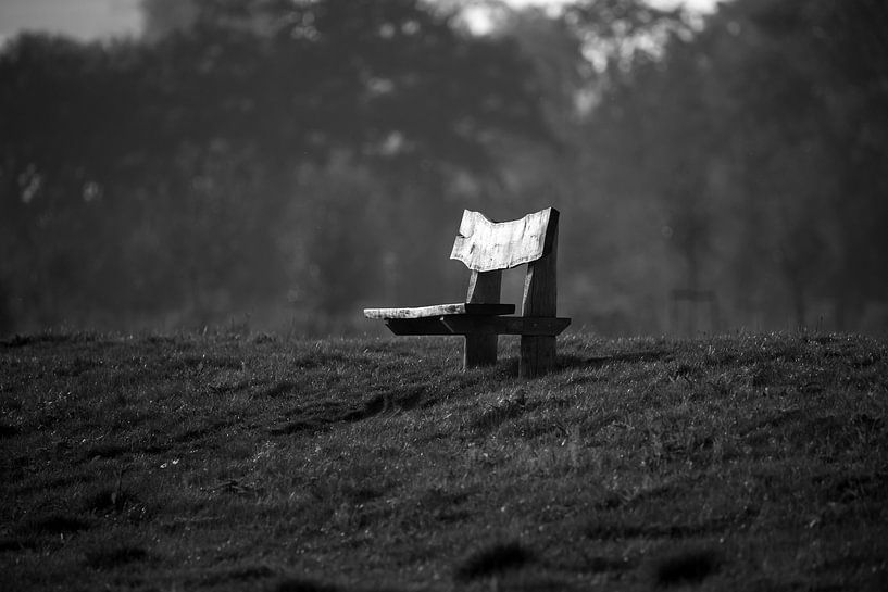 Banc solitaire par Erwin van Eekhout