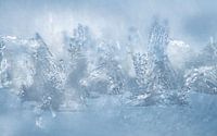 Winterlandschaft mit Eiskristallen und Schnee von Nanda Bussers Miniaturansicht