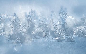 Paysage d'hiver avec des cristaux de glace et de la neige