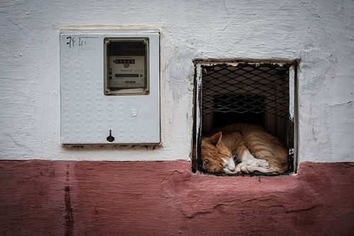 Marokko. Een compleet andere wereld.