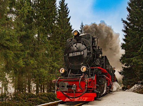 Stoommagie in het Harzgebergte - De Brockenbahn op een winterreis