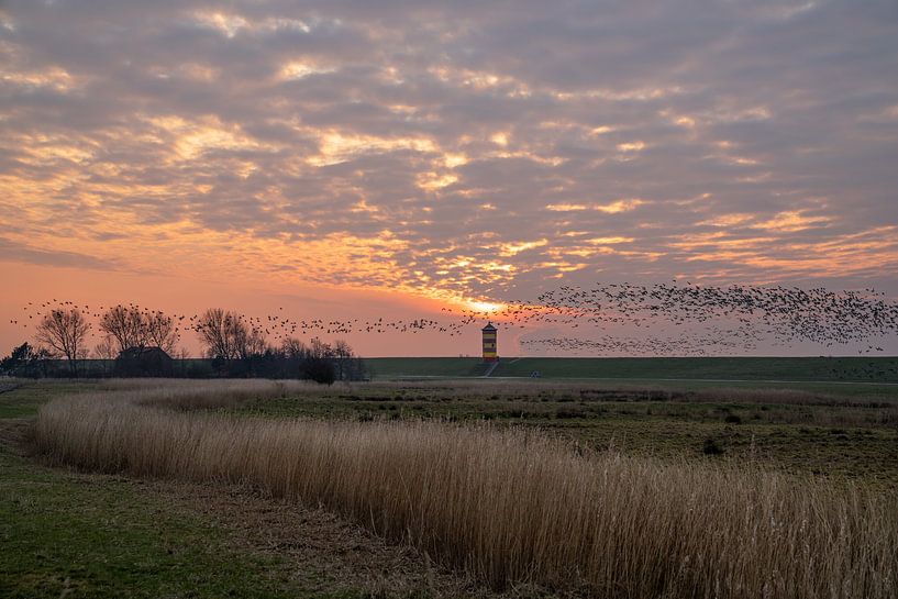 Vuurtoren van Pilsum, Oost-Friesland, Duitsland van Alexander Ludwig