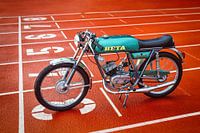 Beta camoscio (Gams) 50ccm
