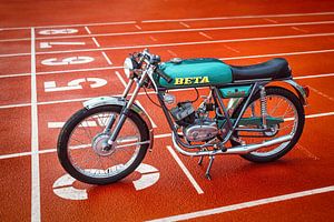 Beta camoscio (Gams) 50ccm