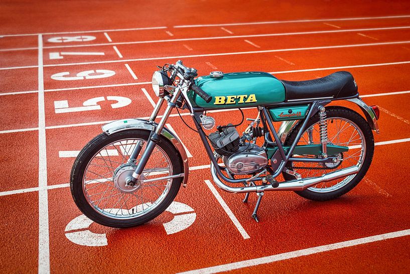 Beta camoscio (Gams) 50ccm von Wilde50er
