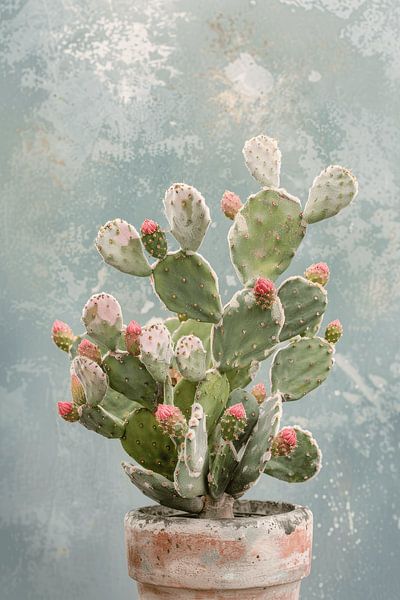 Cactus in pastel colours by Studio Allee