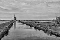 The 'Dikke' Mill near Zwammerdam. by Don Fonzarelli thumbnail