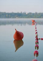 Buoy in the lake