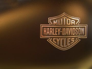 Harley-Davidson tanklogo van José Verstegen