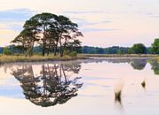 Zonsondergang Dwingelderveld - Drenthe (Nederland) van Marcel Kerdijk thumbnail