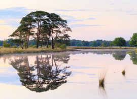 Sunset Dwingelderveld - Drenthe (Netherlands) by Marcel Kerdijk