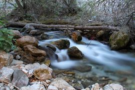 Rio Daro by Cornelis (Cees) Cornelissen