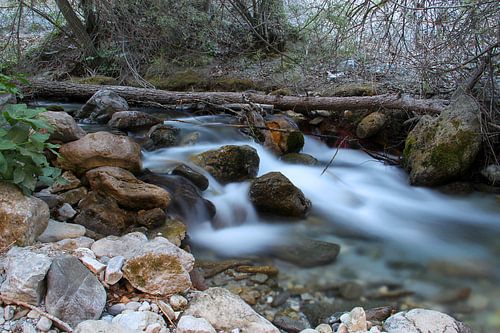 Rio Daro