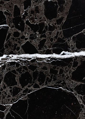 NETWORKED BLACK & WHITE v2