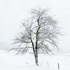 Paysage d'hiver sur Ageeth Groen