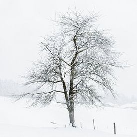 Winters landschap van Ageeth Groen
