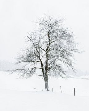 Winters landschap van Ageeth Groen