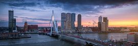 Rushhour in Rotterdam - Panorama Skyline Sonnenuntergang von Vincent Fennis