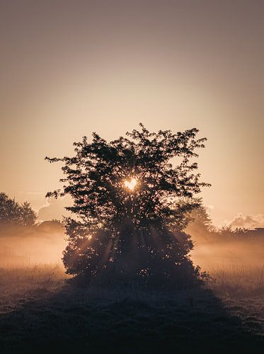 Lever de soleil brumeux en forme de coeur