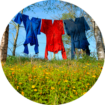 Hollands landschap - Op het boerenerf