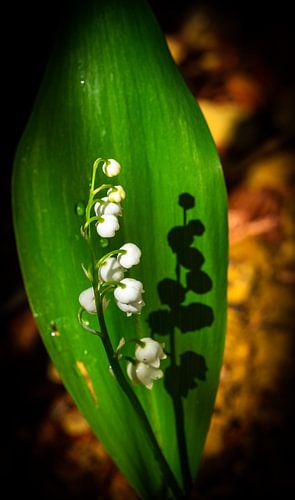 Horloge de fille au soleil