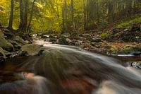 Ruisseau à débit rapide avec une longue vitesse d'obturation au début de l'automne